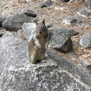 Meet your Posher, Yuki